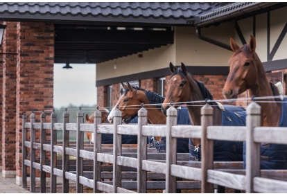 Edukacinė ekskursija po „Royal Horse Resort“ inovatyvų žirgyną