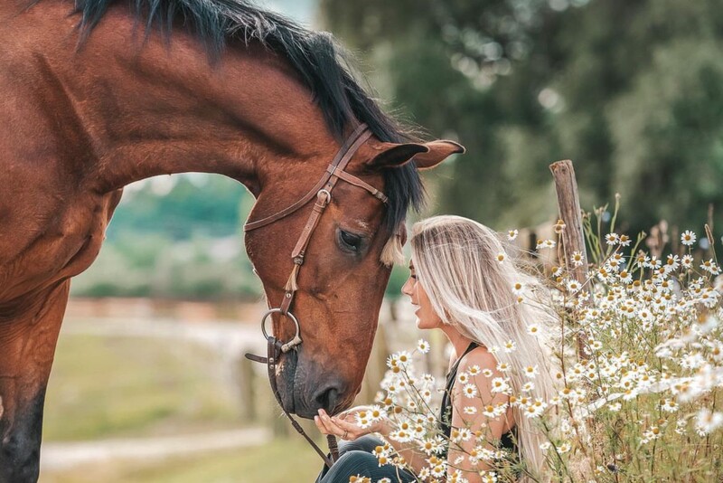 Įsimintina fotosesija su žirgu Biržų krašto apylinkėse